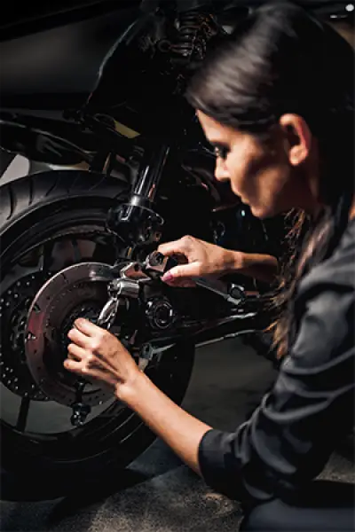 Categoria: ATTREZZATURA