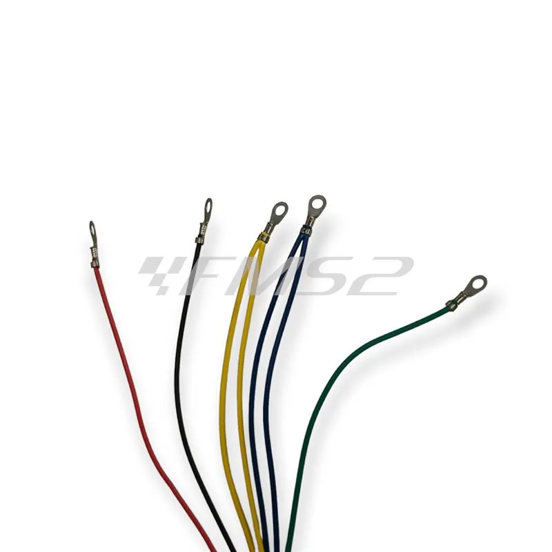 Impianto elettrico v.rally 180-v.150 spr, ricambio 9607