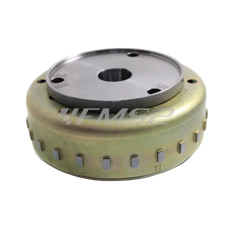 Volano magnete, ricambio 00128956