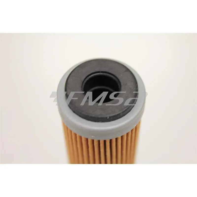 Filtro olio Meiwa per Beta RR 450 e 520cc con motore Beta (SGR), ricambio 268631