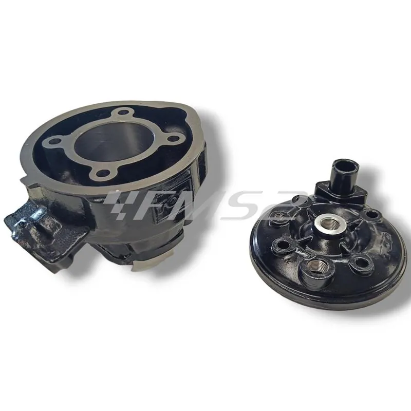 Motore gruppo termico top performance Trophy 49 mm a liquido cilindro in ghisa minacromato con 5 travasi completo di testa a squish, ricambio 9919250