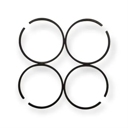 Segmento rett.diam. 54,1 x 2,5 x 2,25 mm, ricambio F0541025022515H