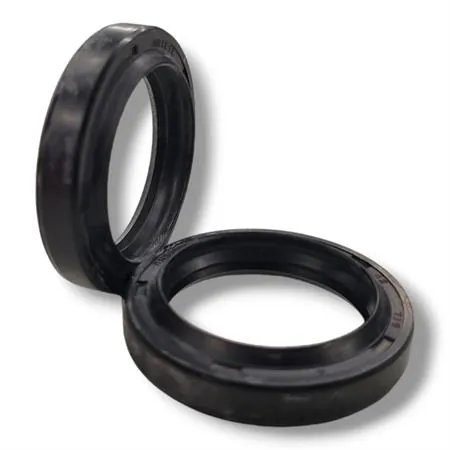 Kit paraolio e parapolvere Mentasti per forcella anteriore Malaguti con misura 31,7X42X7/9 e 31,75X42,8/48X7,6/11,6, ricambio ARI077