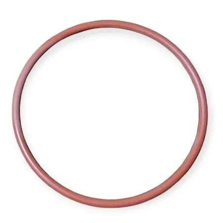 Guarnizione O-ring tappo filtro olio Ø 53,6x2,4 mm per Beta Enduro/Motard RR 125 4T LC 2013-2020, ricambio 021.08.003.00.00