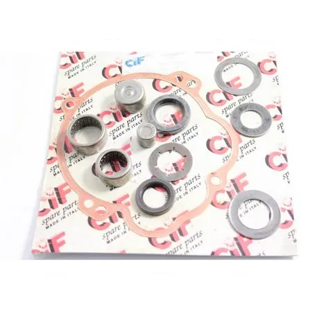 Kit revisione mozzo monomarcia (CIF), ricambio 10058-K