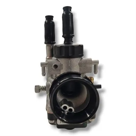 Carburatore phbg 19 ds (Dell'Orto), ricambio 02631