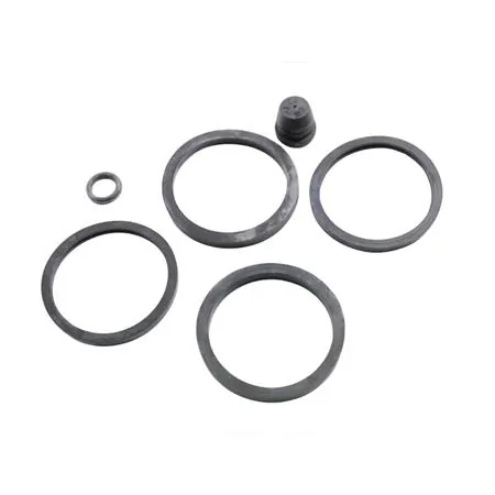 Kit gommini per revisione pinza freno sco. (Grimeca), ricambio 4810072246