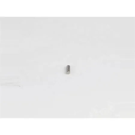 rullo corpo pompa 4x1 (Malaguti), ricambio 75603800