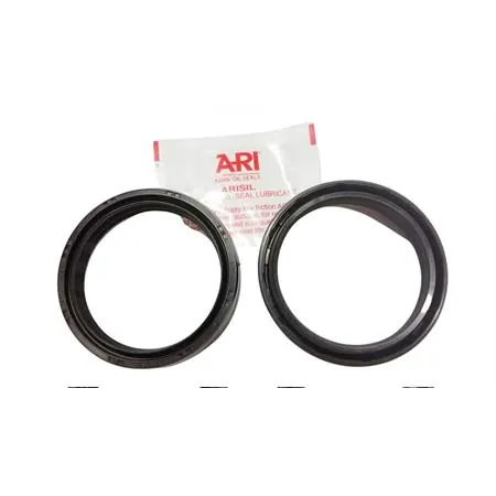 paraolio 49 x 60 x 10 tc4, ricambio ARI104