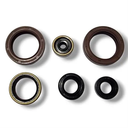 Serie paraoli motore doppio labbro SKF per Ktm EXC/SX 125 1998–2016, SX 150 2009-2015, EXC 200 2002-2016, Husqvarna TC/TE 125 2014-2016 e Husaberg TE 125 2011-2014, ricambio GU84134T