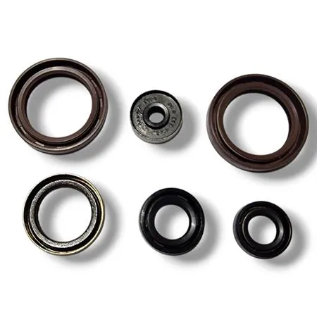 Serie paraoli motore doppio labbro SKF per Ktm EXC/SX 125 1998–2016, SX 150 2009-2015, EXC 200 2002-2016, Husqvarna TC/TE 125 2014-2016 e Husaberg TE 125 2011-2014, ricambio GU84134T