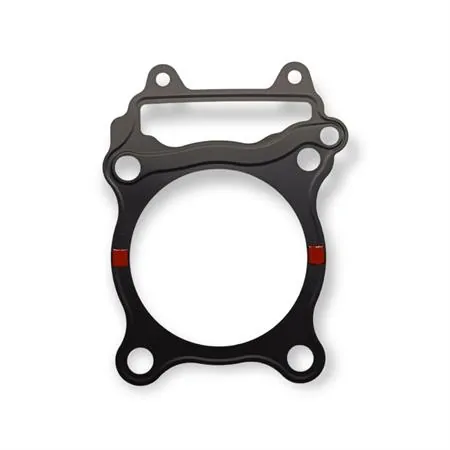 Guarnizione cilindro, ricambio 00112047