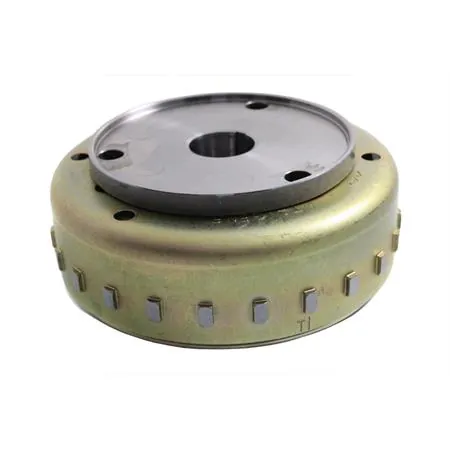 Volano magnete, ricambio 00128956