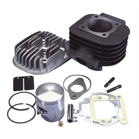 Motore gruppo termico Polini base diametro 47,00mm e spinotto da 10 mm per scooter minarelli verticale Mbk booster spirit, ricambio 1660074