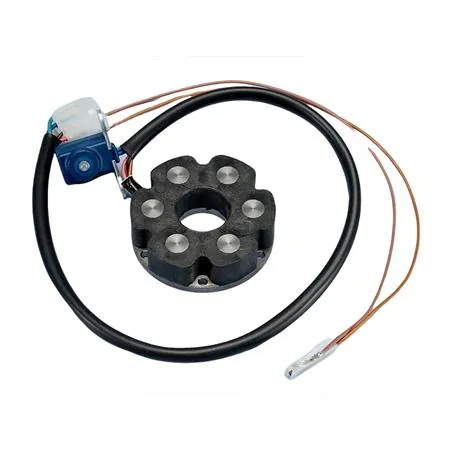 Statore completo accensione Polini per motori am e Derbi, ricambio 1710623