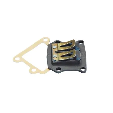 Valvola pacco lamellare Polini Evolution Booster, ricambio 2130050