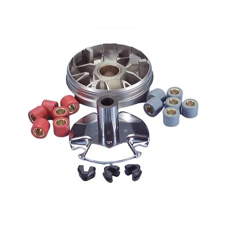 Variatore speed control (Polini), ricambio 241340