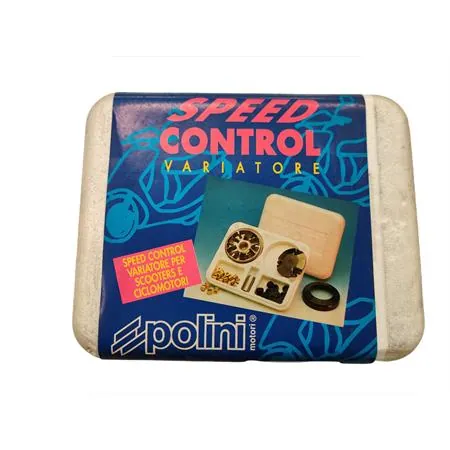 Variatore Piaggio sfera Zip (Polini), ricambio 241370