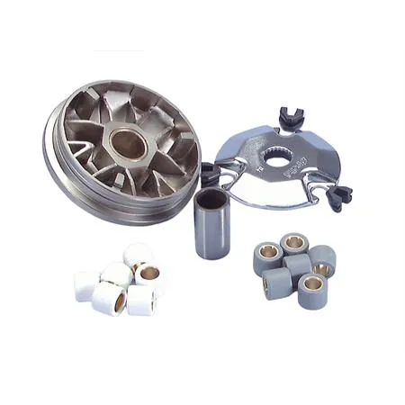 Variatore speed control (Polini), ricambio 241400