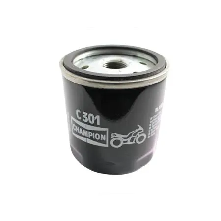 Filtro olio BMW (Polini), ricambio C301