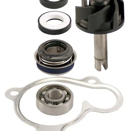 Kit revisione pompa acqua Majesty 250, ricambio 100110270