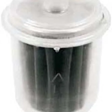 Filtro benzina standard, ricambio 100607000