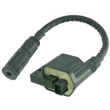 Bobina dink eu3 200cc 06/07, ricambio 246010152