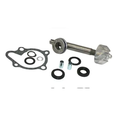 Kit revisione pompa acqua completa maxi scooter Kymco 125/200 Dink euro3, ricambio 282014