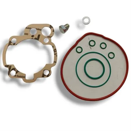 Motore gruppo termico top performance Trophy 49 mm a liquido cilindro in ghisa minacromato con 5 travasi completo di testa a squish, ricambio 9919250