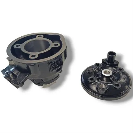 Motore gruppo termico top performance Trophy 49 mm a liquido cilindro in ghisa minacromato con 5 travasi completo di testa a squish, ricambio 9919250